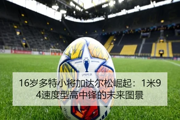 16岁多特小将加达尔松崛起:1米94速度型高中锋的未来图景